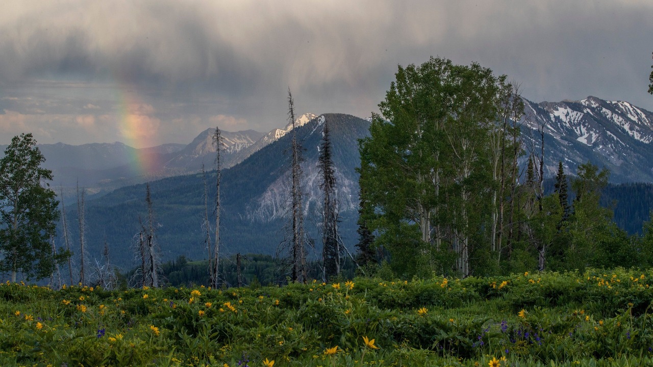 Photo of Others in Alpine Northwest