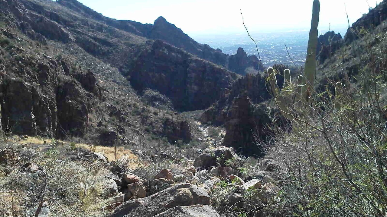 Photo of Others in Tucson