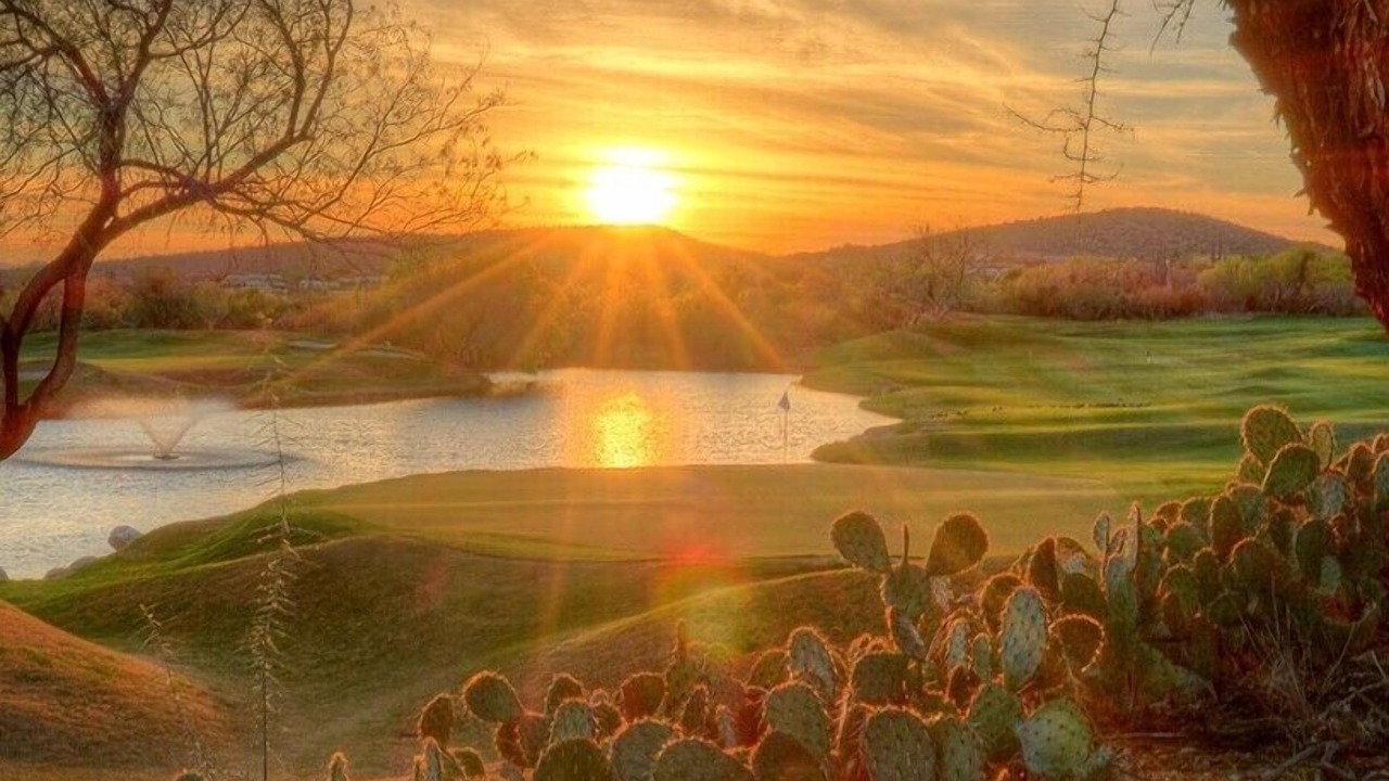 Photo of Others in Tucson