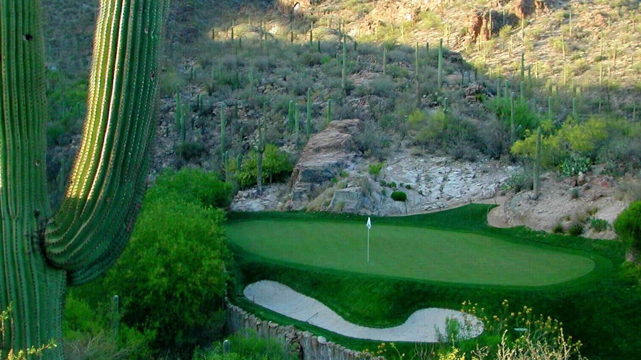 Photo of Others in Tucson