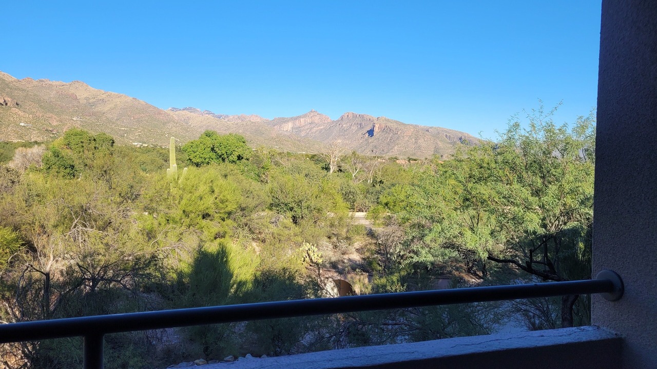 Photo of Others in Tucson
