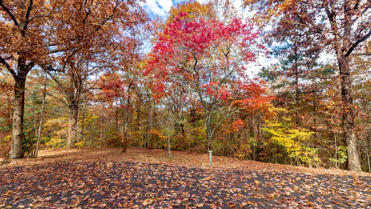 Photo of Outdoor in Copperhill