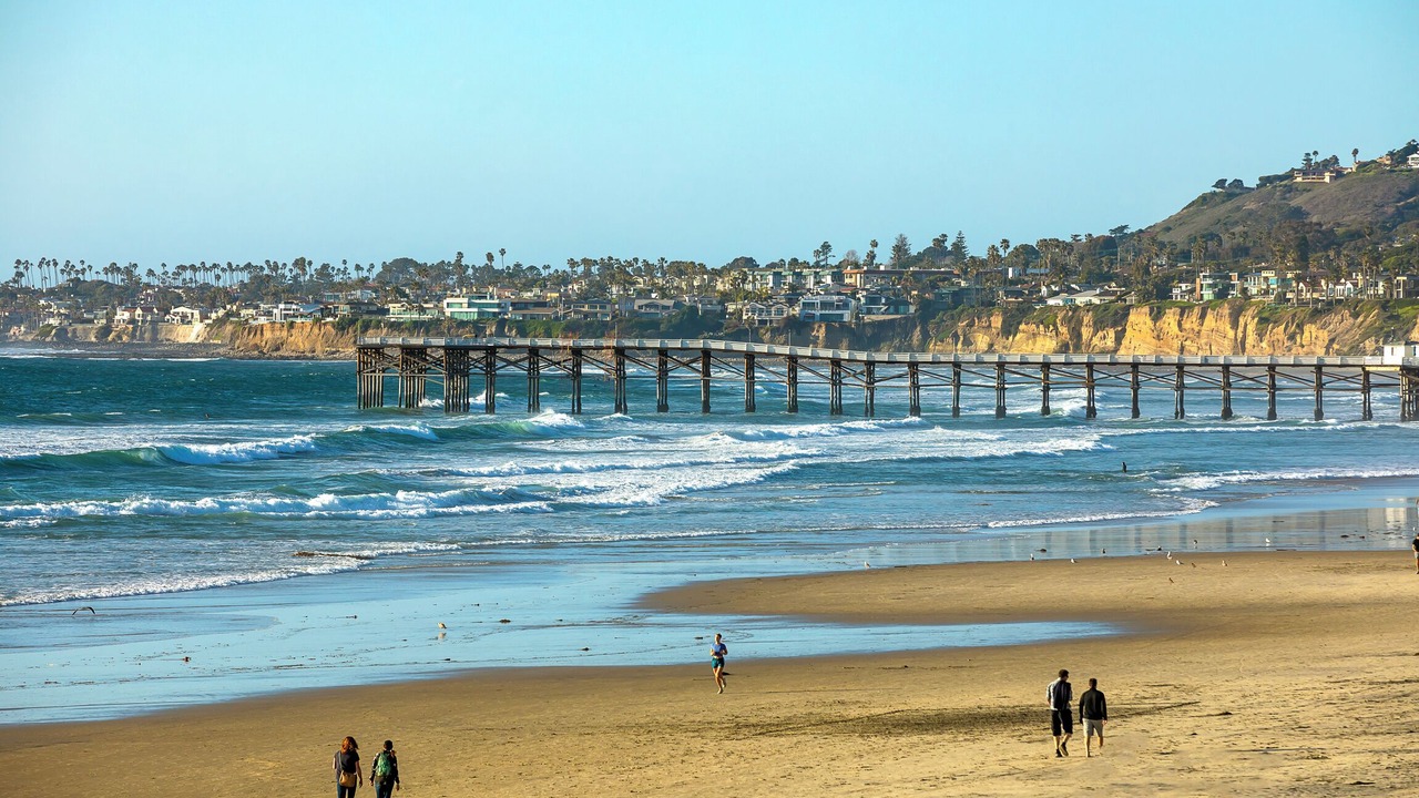 Photo of Others in Mission Beach