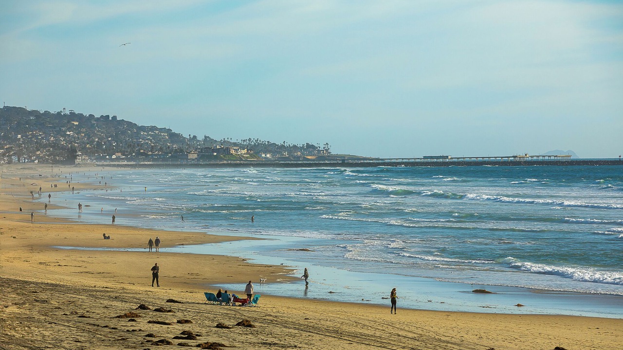 Photo of Others in Mission Beach