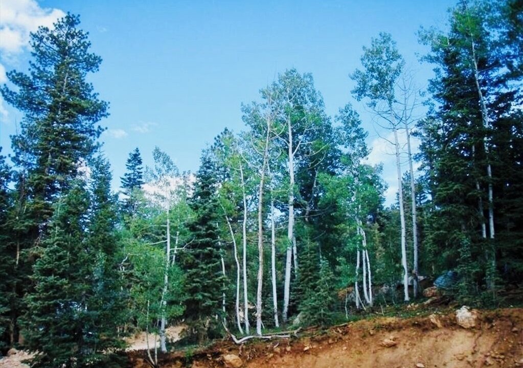 Photo of Bedroom in Duck Creek Village