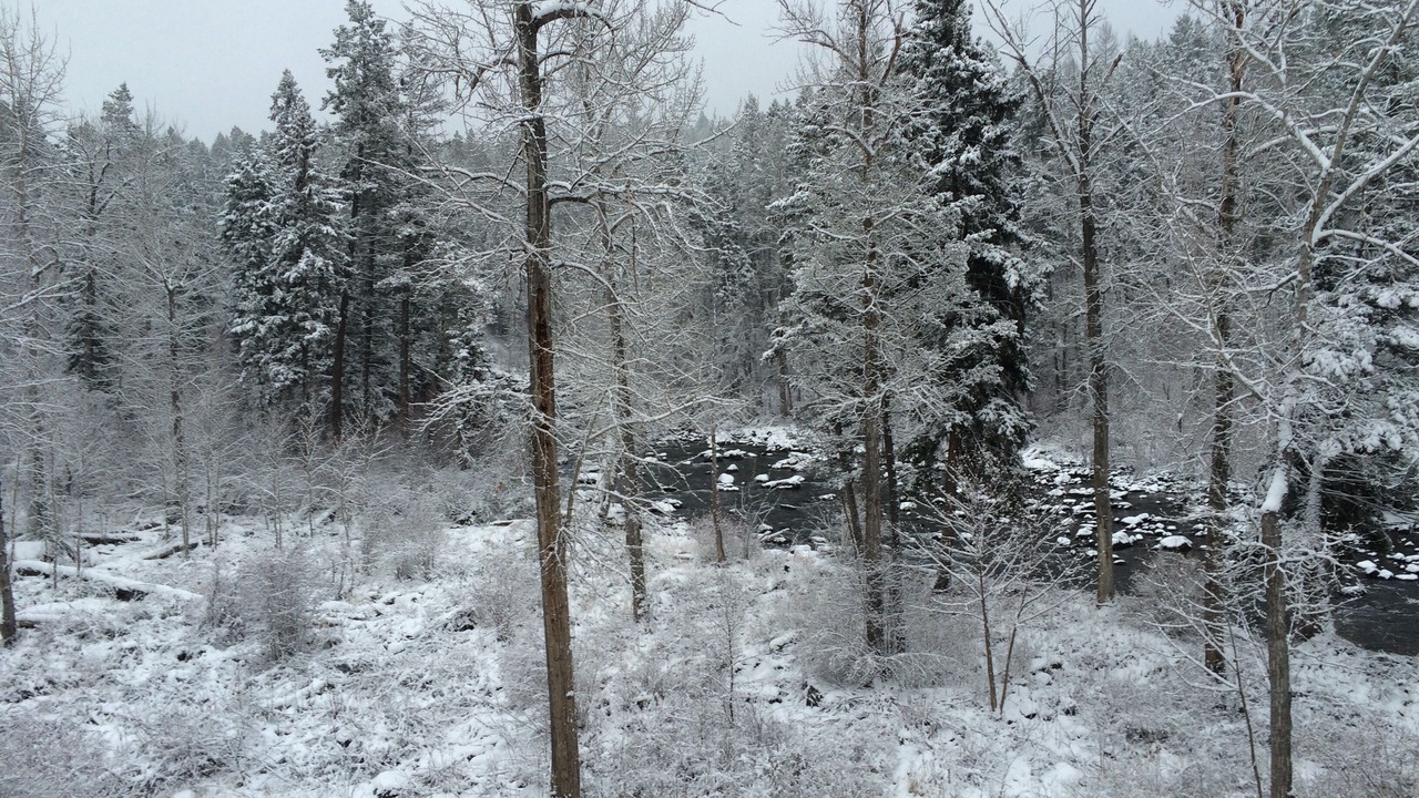 Photo of Others in Bigfork