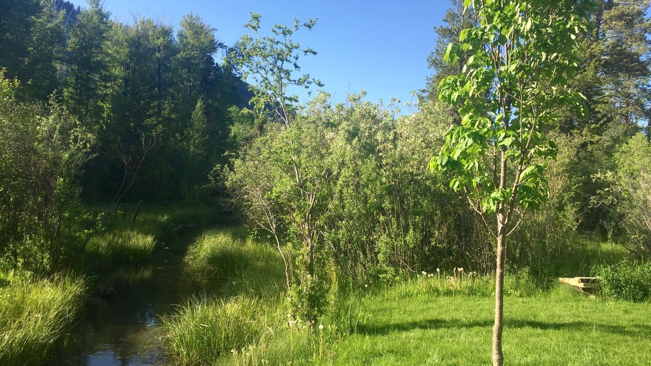 Photo of Outdoor in Wilson