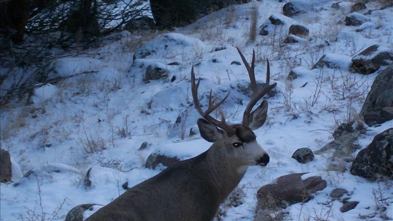 Photo of Others in Gardiner