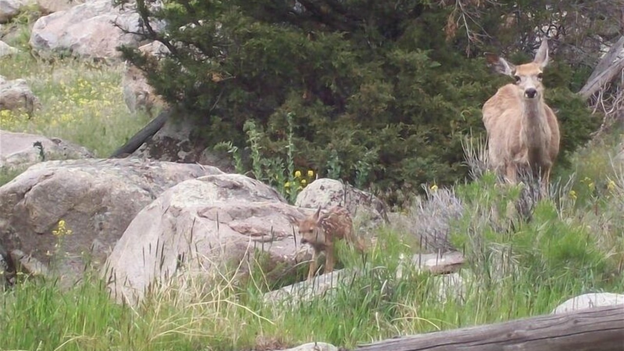 Photo of Others in Gardiner