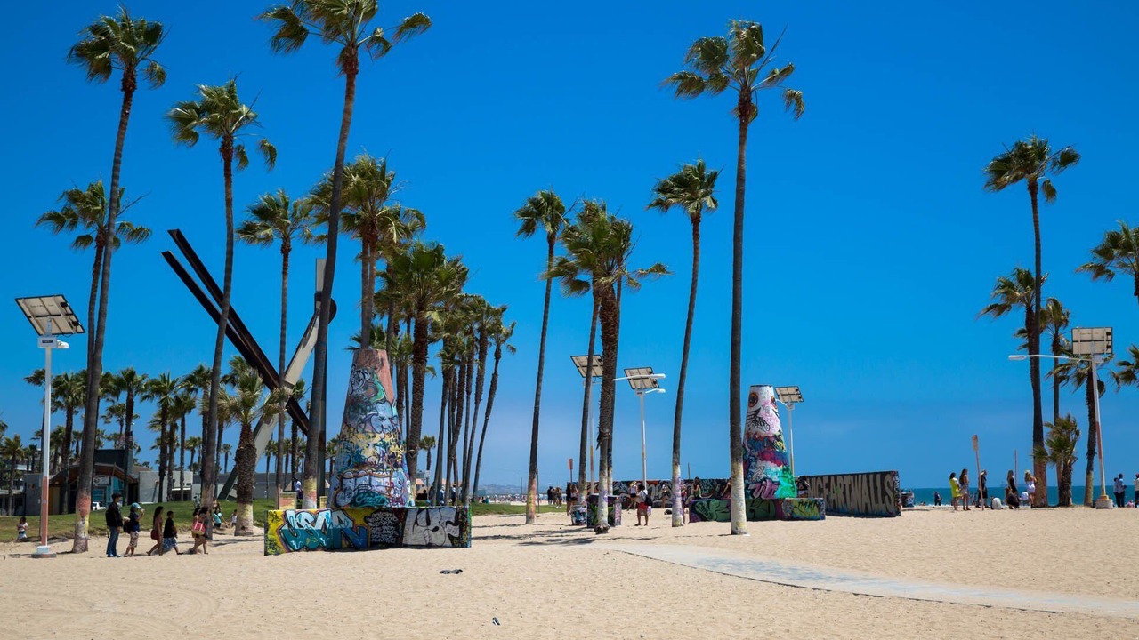 Photo of Others in Del Rey