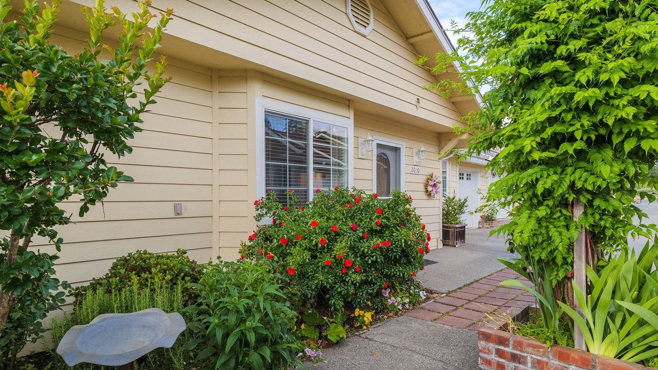 Photo of Outdoor in Redwood