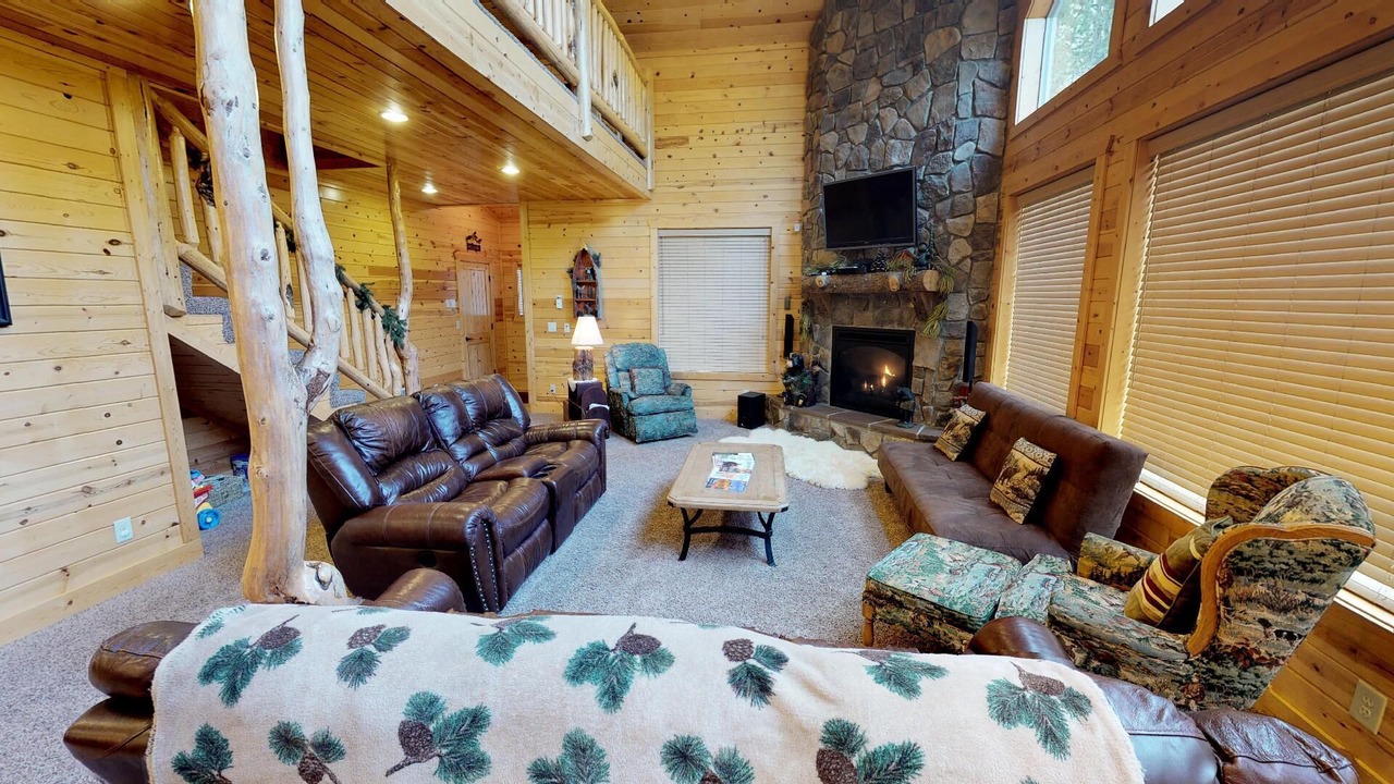 Photo of Livingroom in Island Park