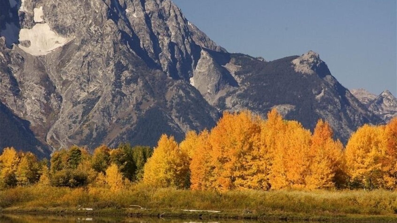 Photo of Others in Jackson Hole