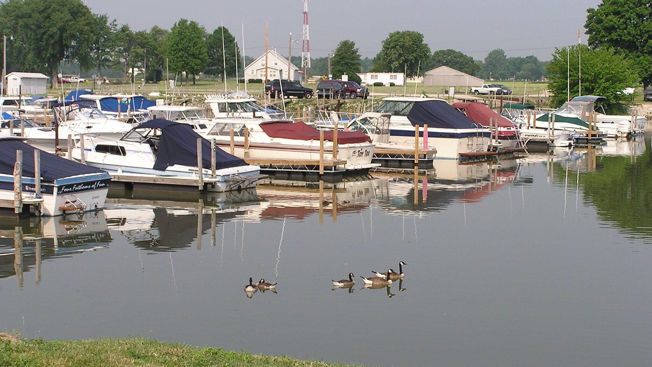 Photo of Others in Oak Harbor