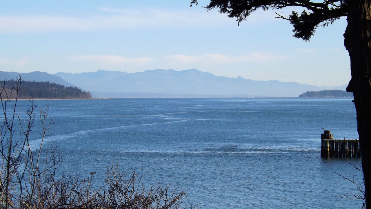 Photo of Others in Lummi Island