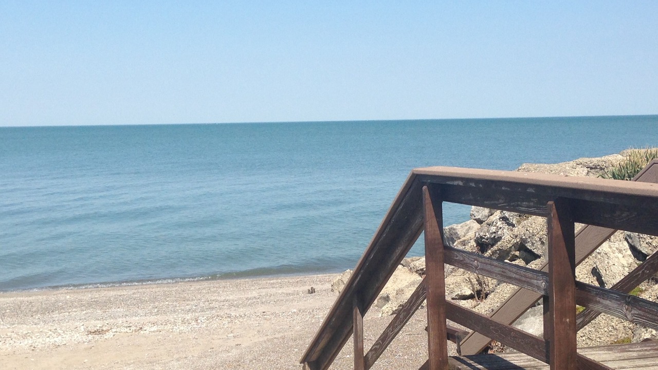 Photo of Others in Oak Harbor