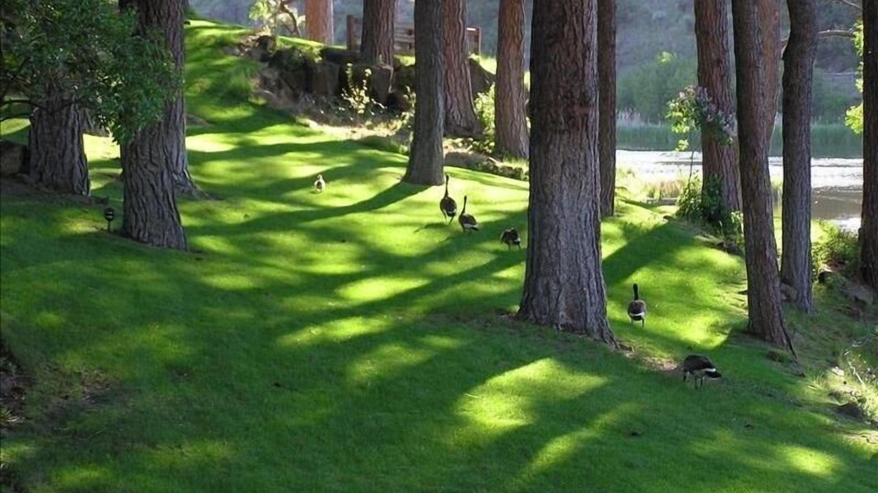 Photo of Outdoor in Bend