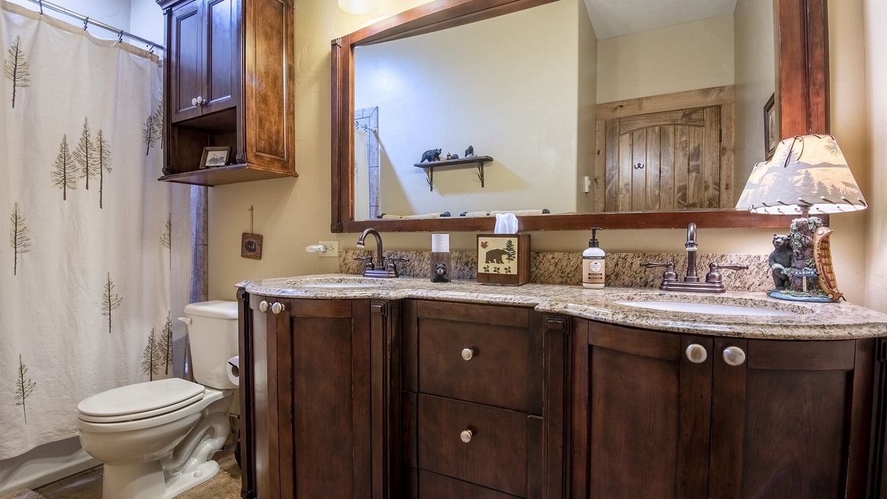 Photo of Bathroom in Driggs