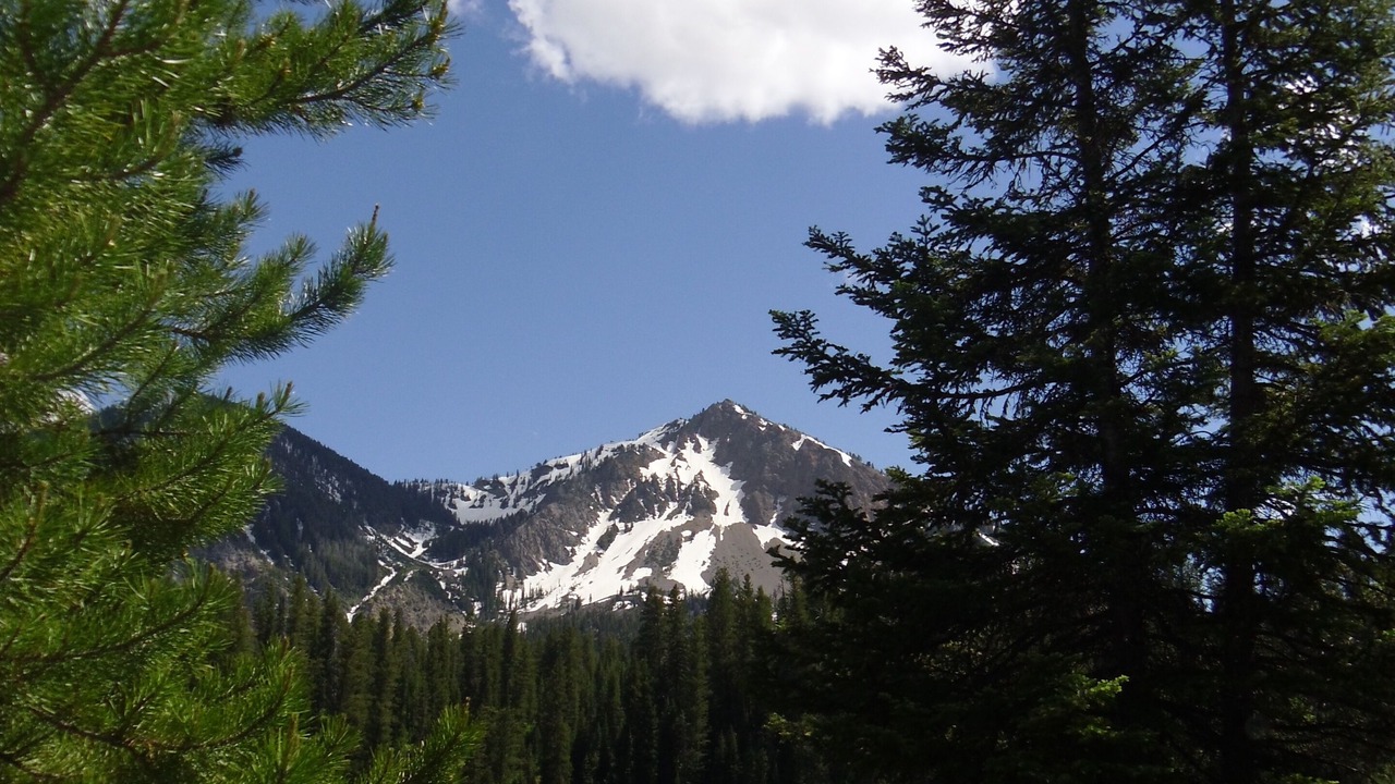 Photo of Outdoor in Freedom