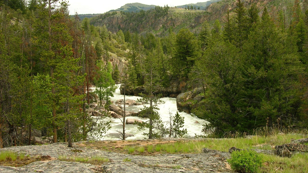 Photo of Others in Cody