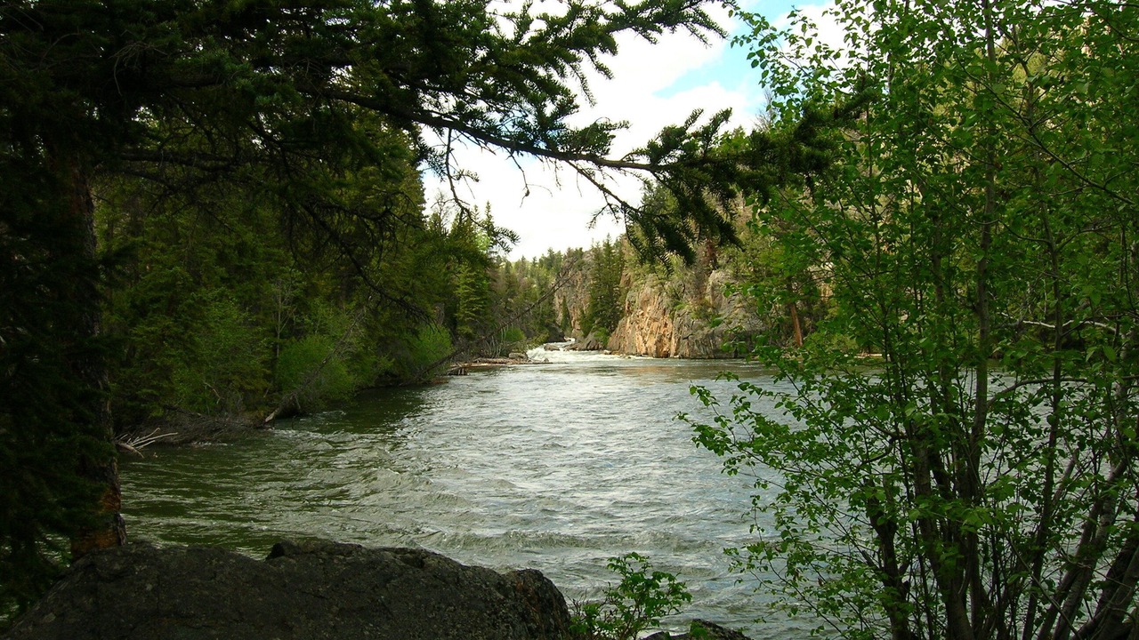 Photo of Others in Cody