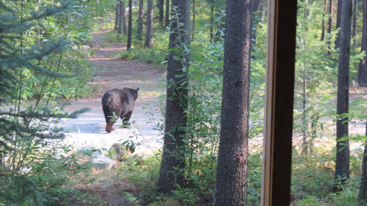 Photo of Others in West Glacier