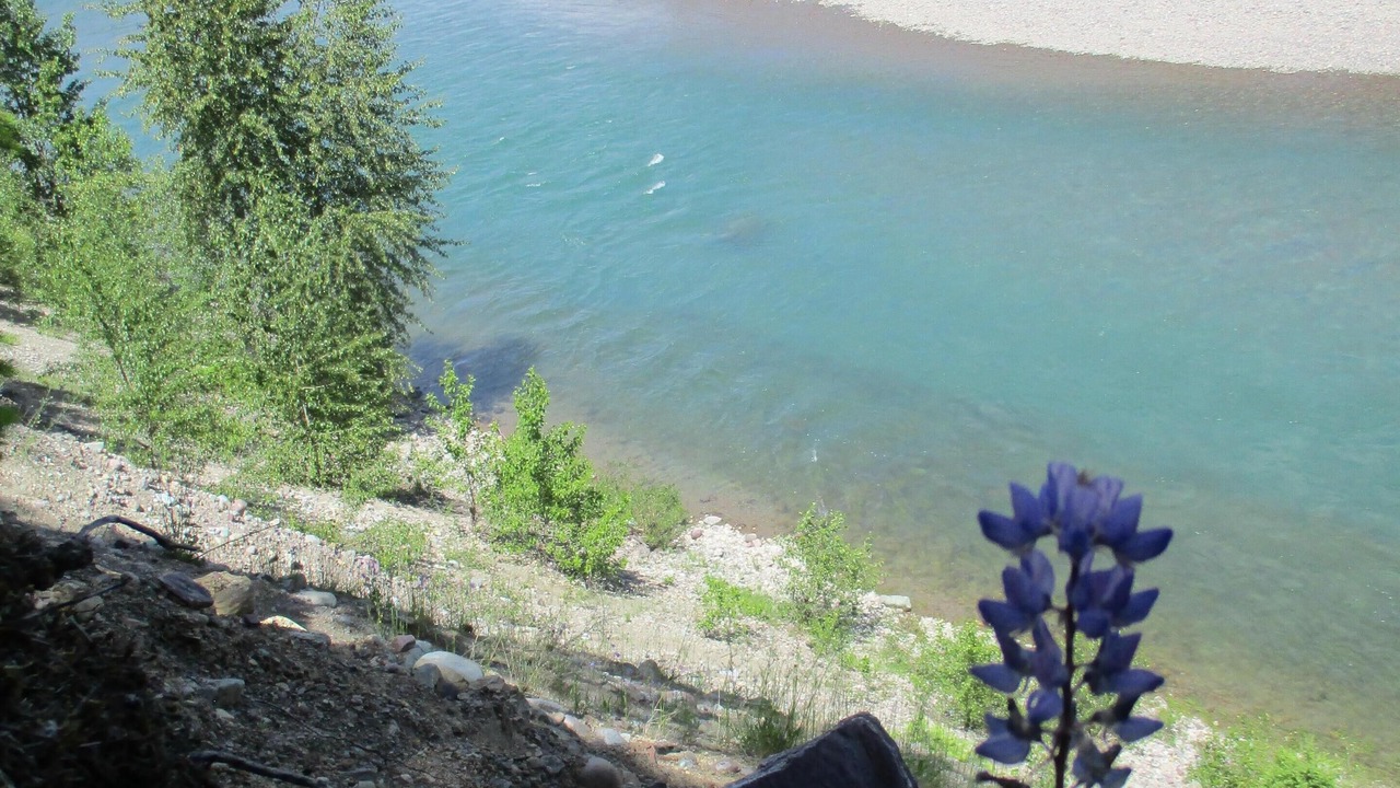 Photo of Others in West Glacier