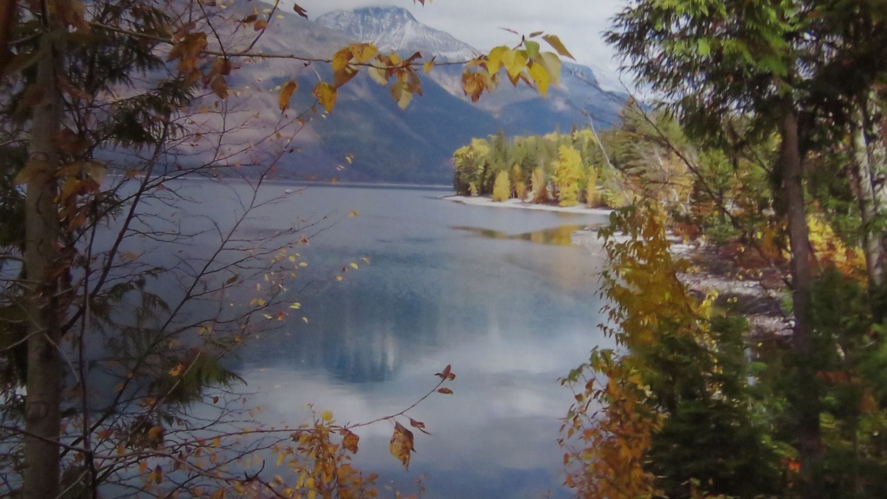 Photo of Outdoor in West Glacier