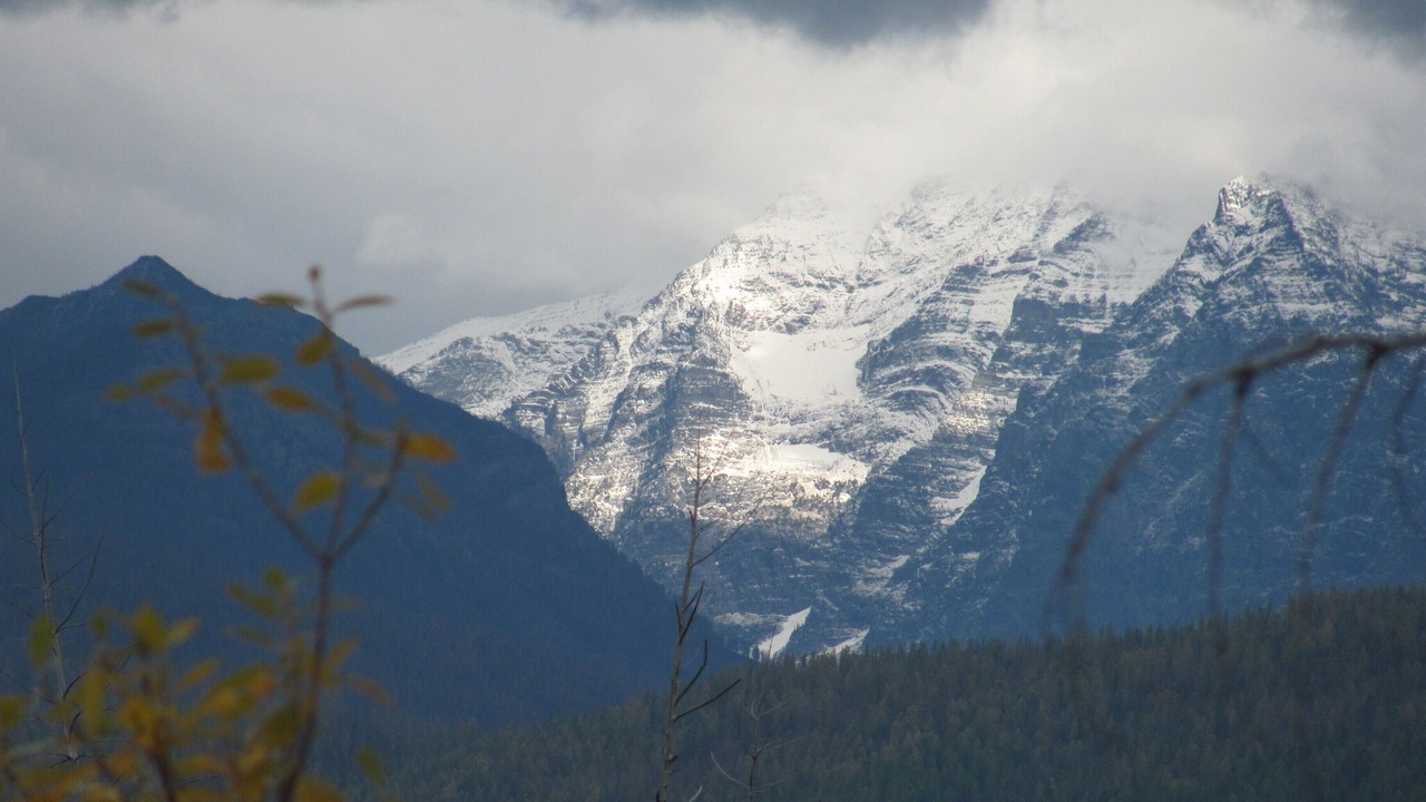 Photo of Others in West Glacier