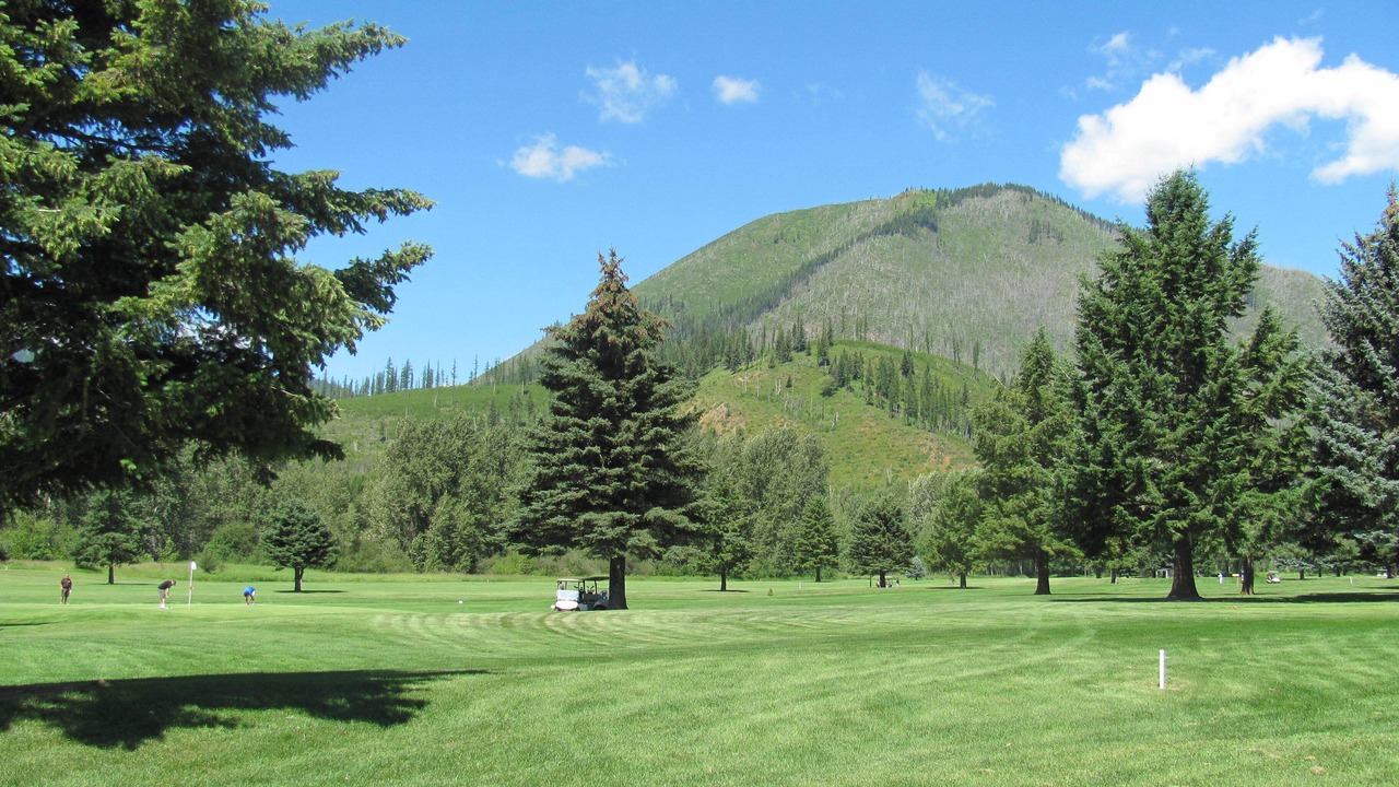 Photo of Others in West Glacier