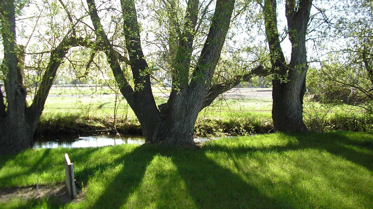 Photo of Others in Bynum