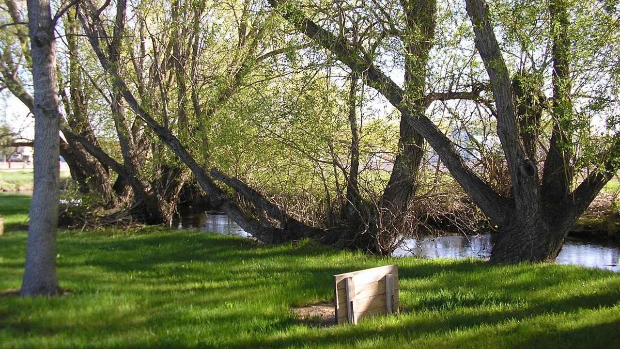 Photo of Others in Bynum