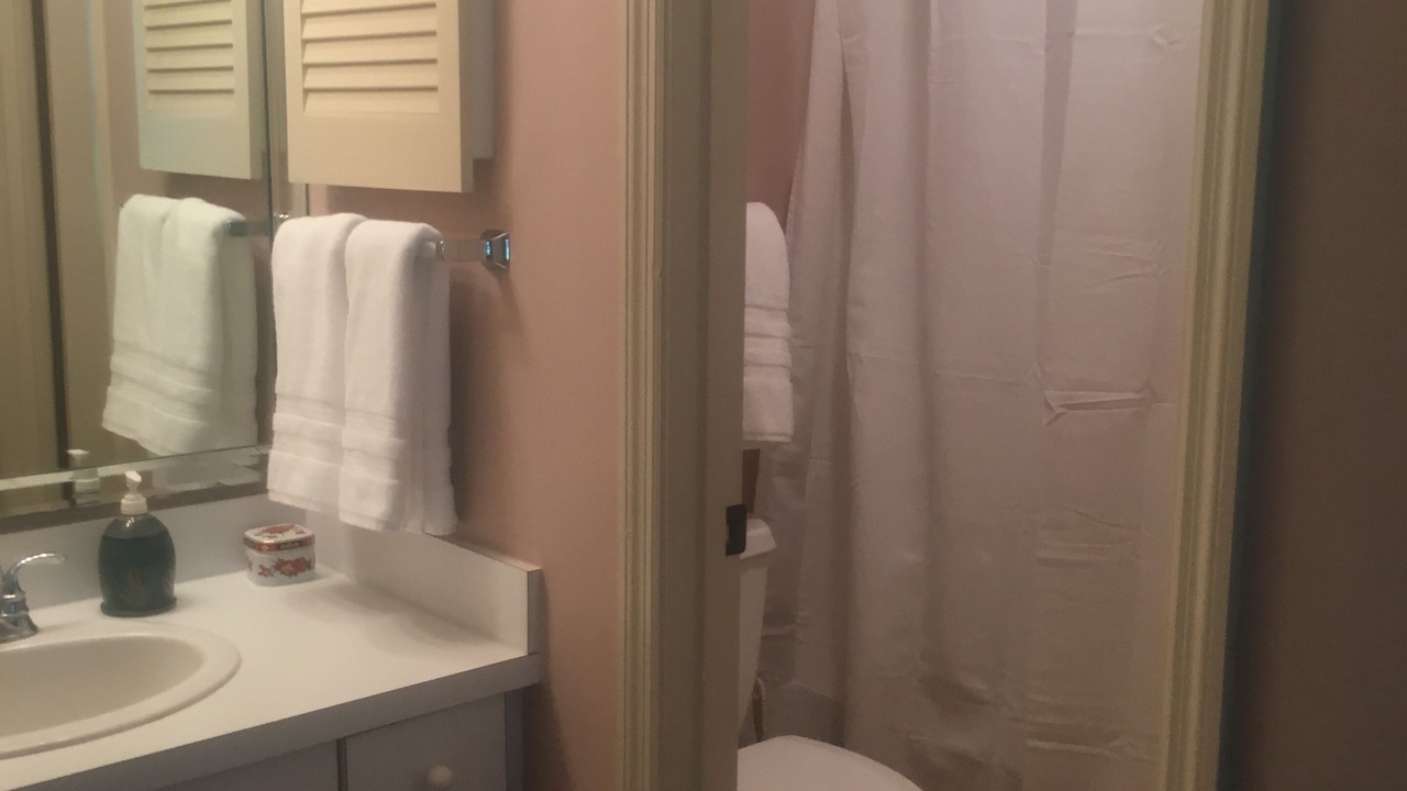 Photo of Bathroom in Saint Simons Island
