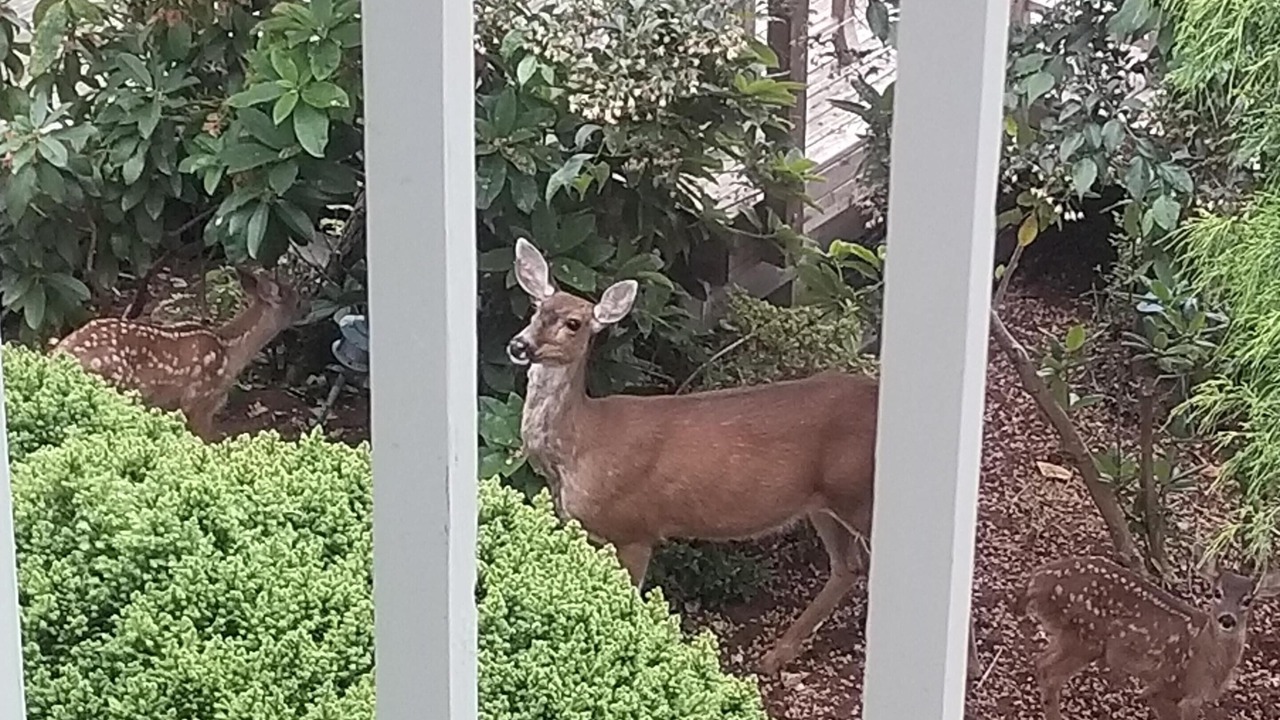 Photo of Others in Mukilteo