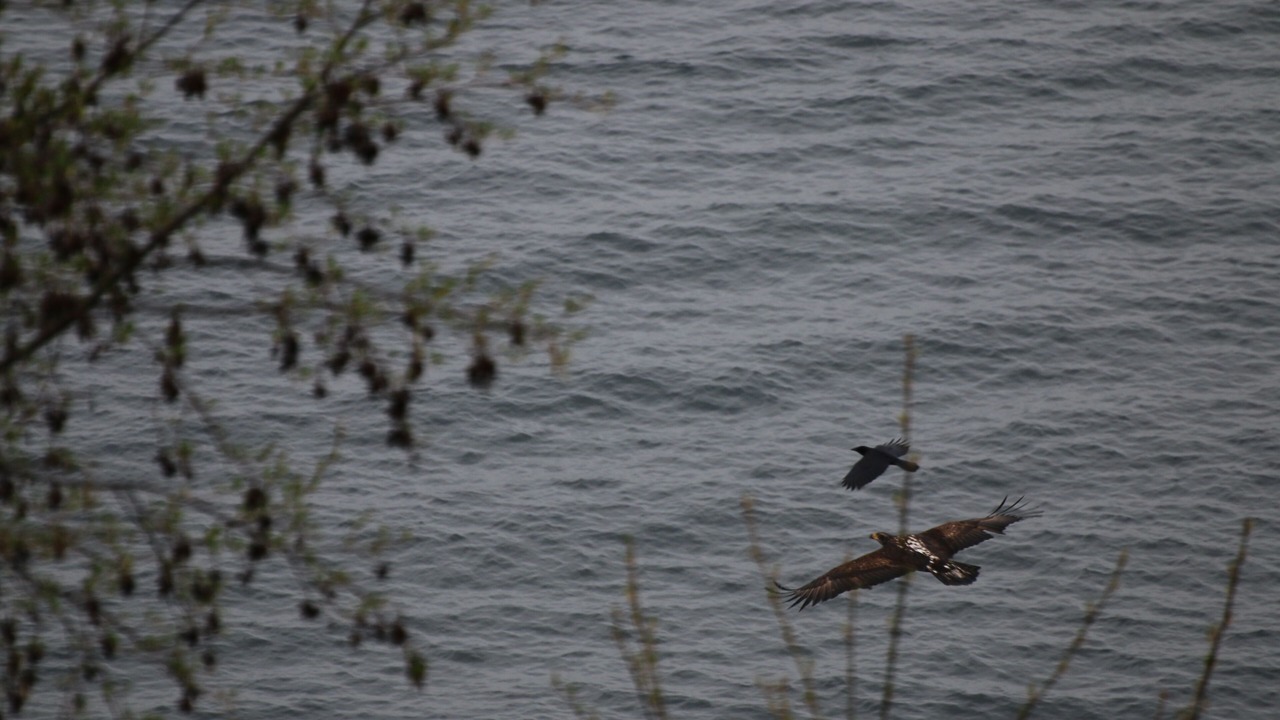 Photo of Others in Mukilteo