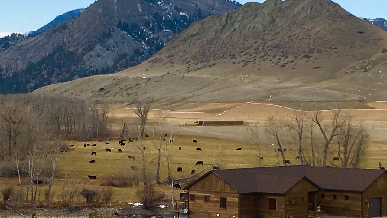 Photo of Outdoor in Fishtail