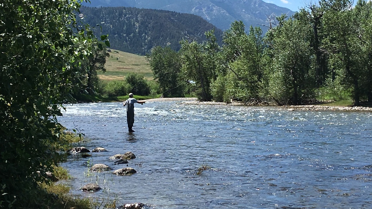 Photo of Others in Fishtail