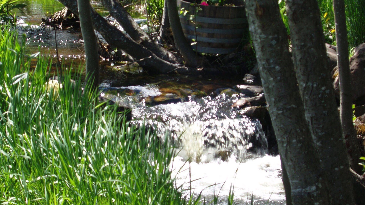 Photo of Outdoor in Martin City
