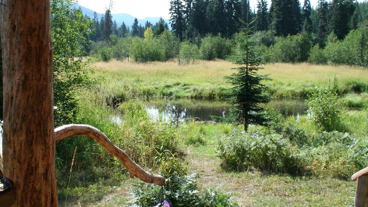 Photo of Outdoor in Martin City