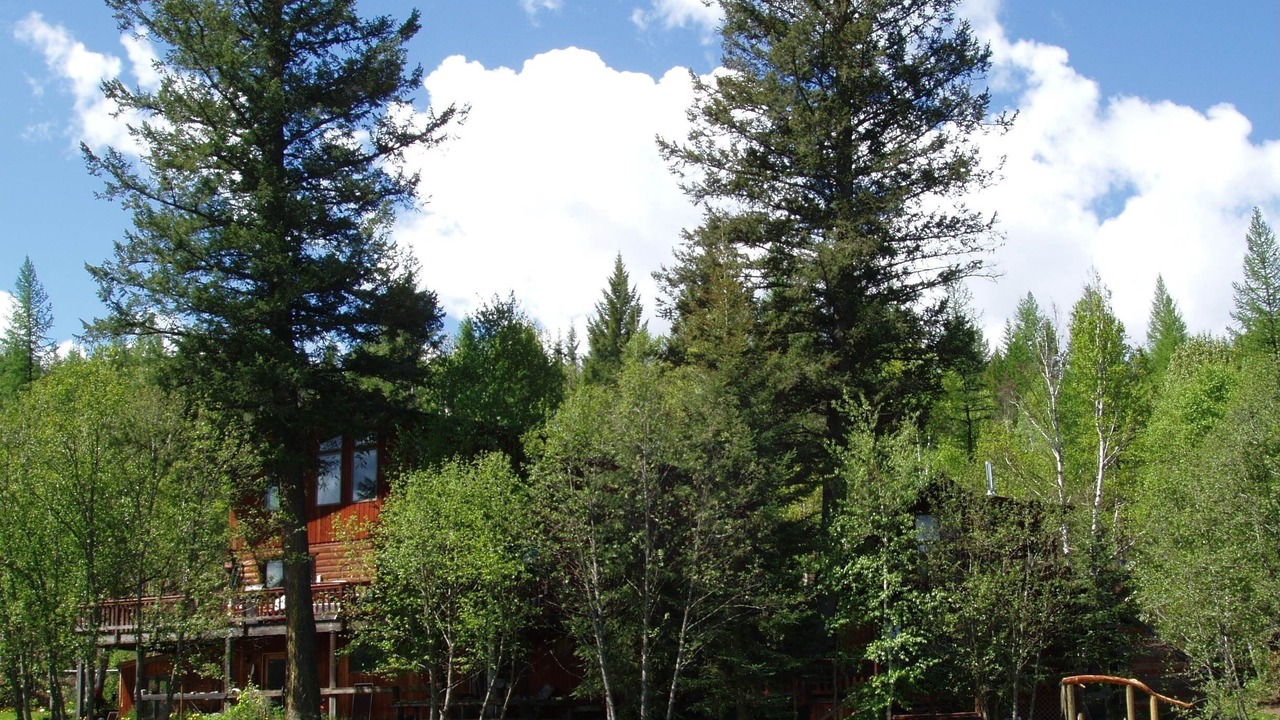 Photo of Outdoor in Martin City