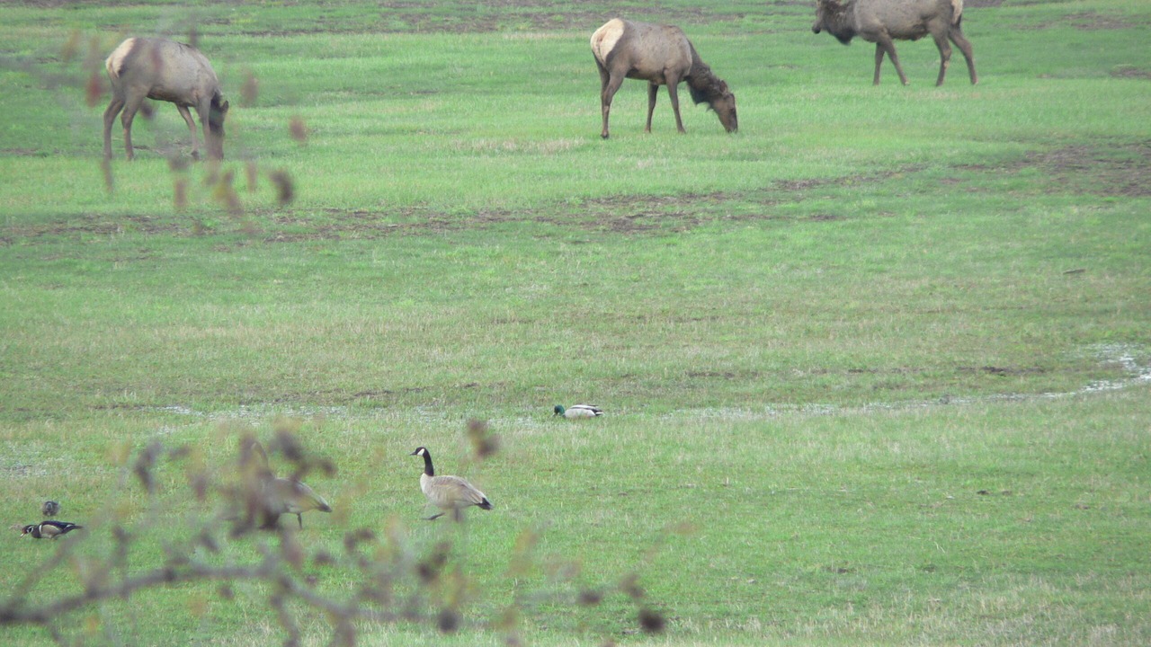 Photo of Others in Martin City