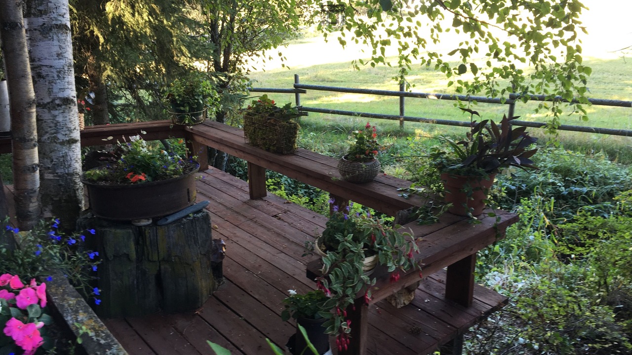 Photo of Patio Balcony in Martin City