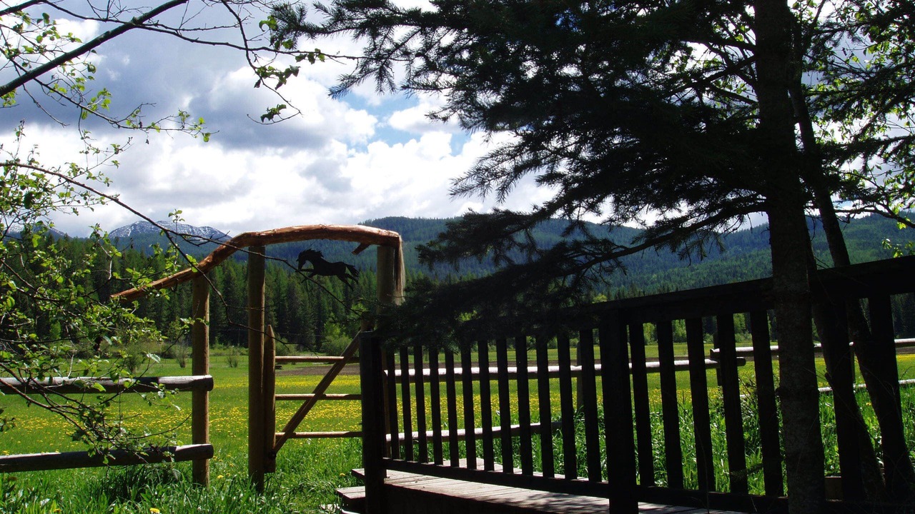 Photo of Outdoor in Martin City