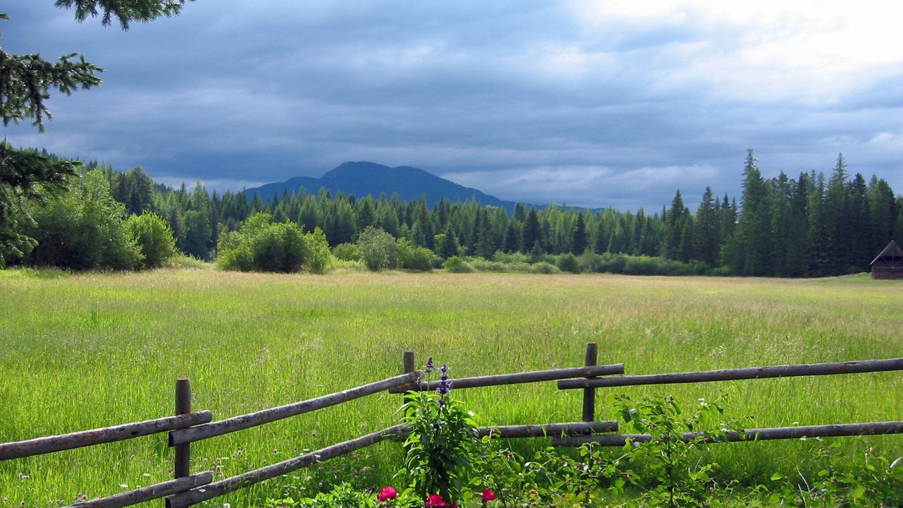 Photo of Outdoor in Martin City