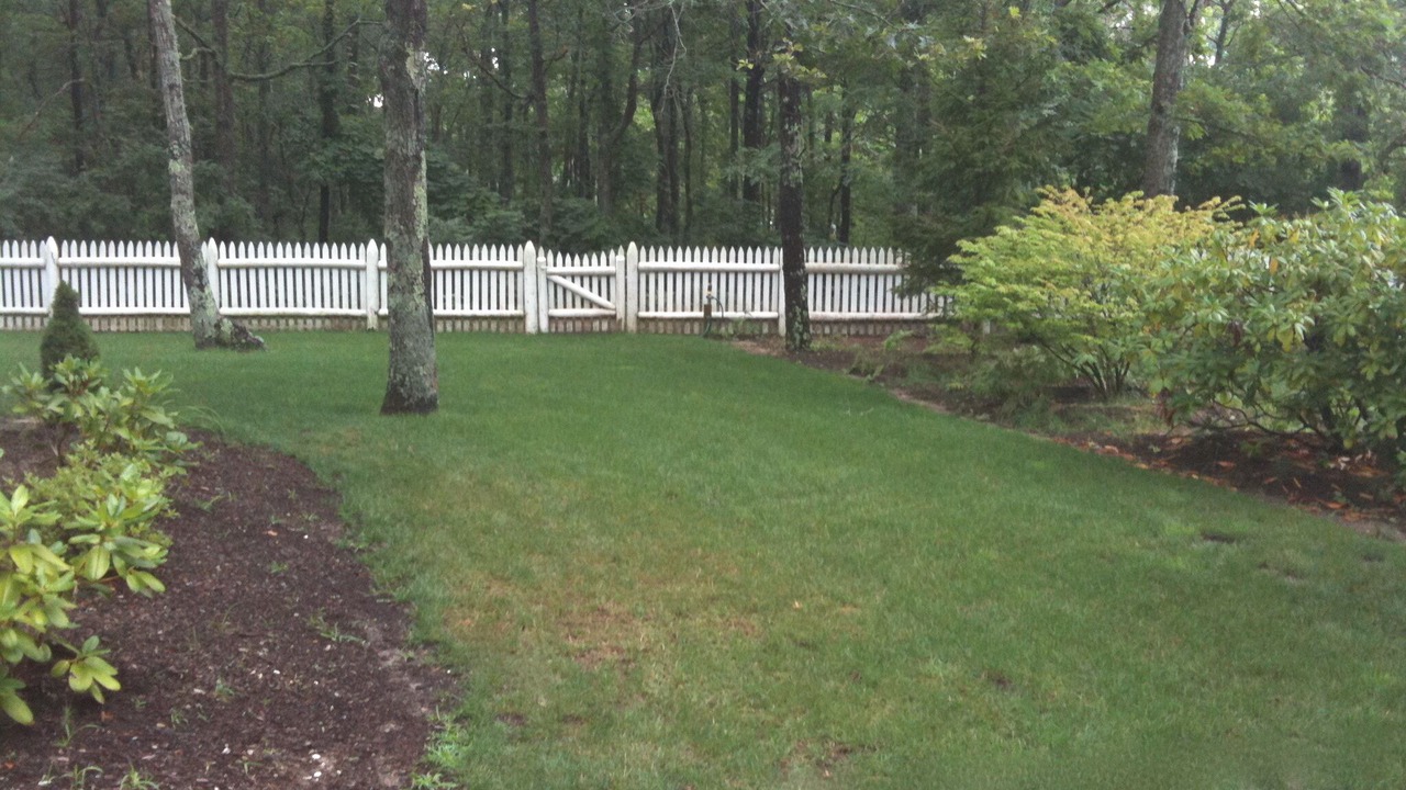Photo of Others in Mashpee