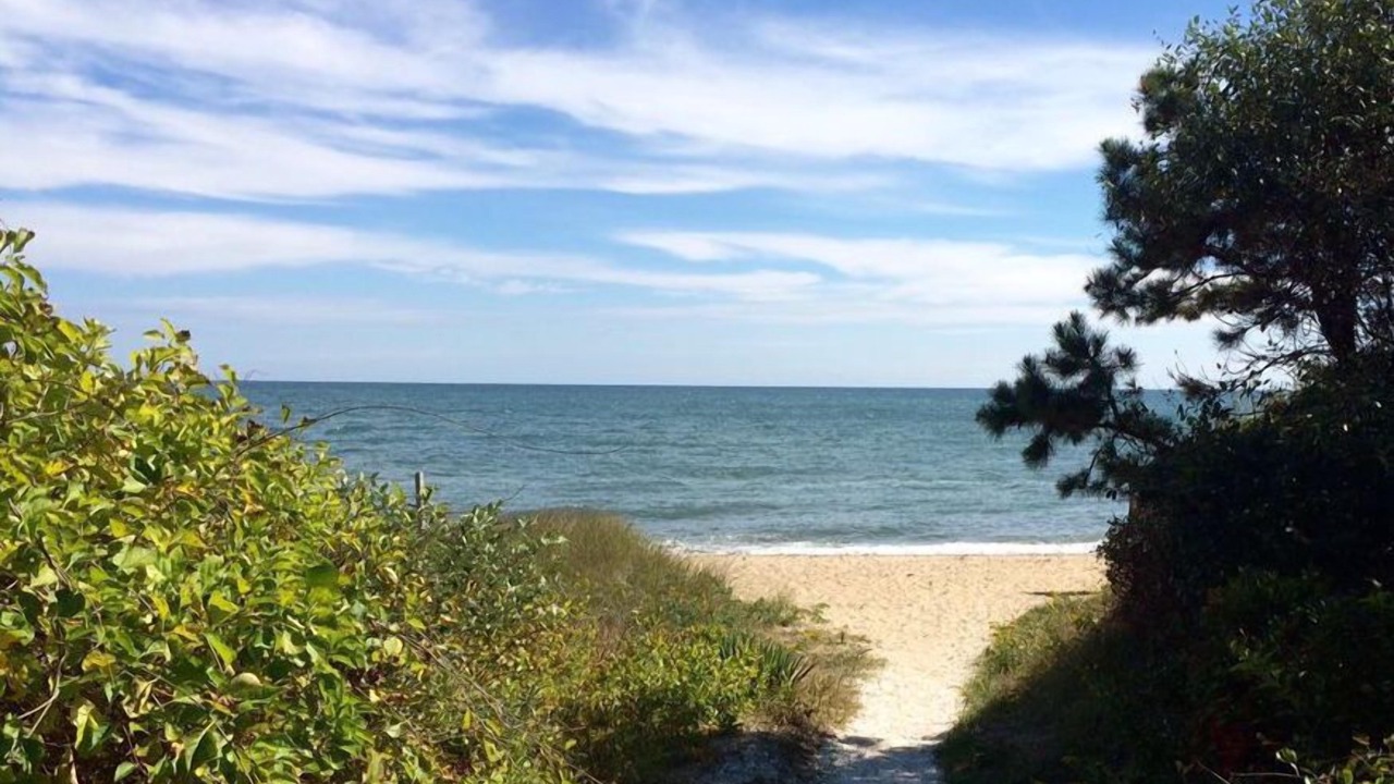 Photo of Others in Mashpee