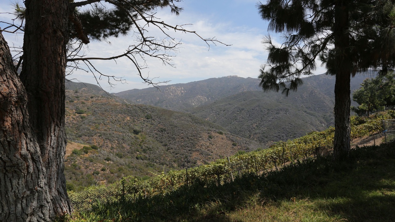 Photo of Outdoor in Malibu