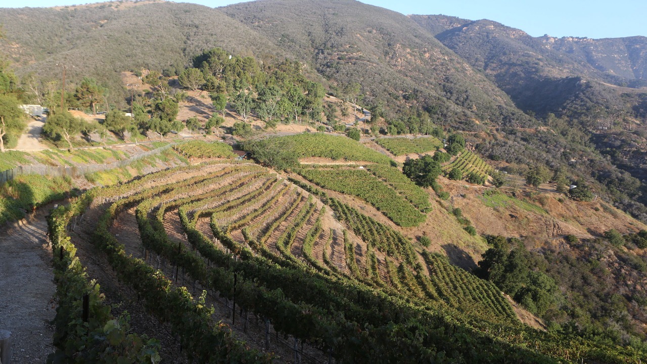 Photo of Outdoor in Malibu