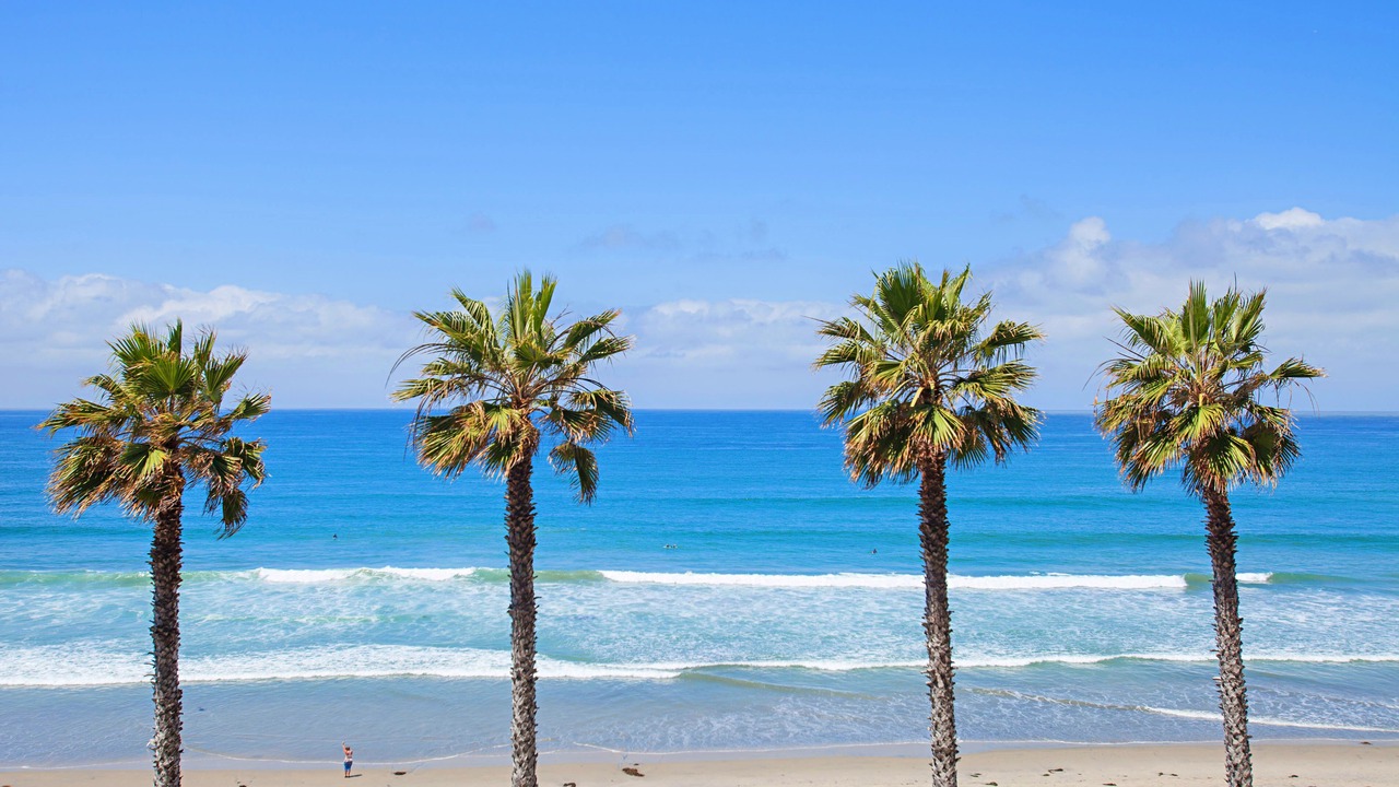 Photo of Others in North Pacific Beach