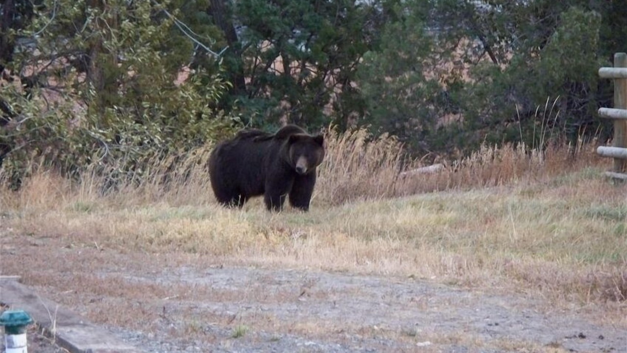 Photo of Others in Gardiner